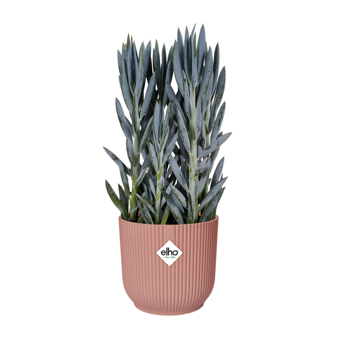 vibes fold rond 40cm delicaat roze